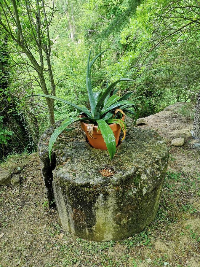 Casa Rural Ardetxal A 16Km De Logrono Y Laguardia Vinaspre Екстер'єр фото